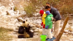 سفر با بچه مسافرتی ها - آسیا - چین